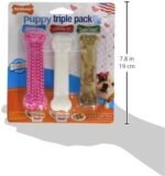 Nylabone Puppy Chew Toys & Natural Treat Triple Pack, Puppy Enrichment Teething Toys, Pink, Chicken & Bacon Flavor, Small Dogs – Up to 25 Ibs, 3 Pack - Image 3