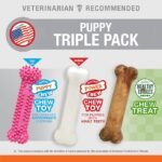 Nylabone Puppy Chew Toys & Natural Treat Triple Pack, Puppy Enrichment Teething Toys, Pink, Chicken & Bacon Flavor, Small Dogs – Up to 25 Ibs, 3 Pack - Image 4